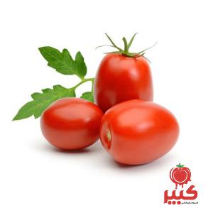 قیمت خرید رب گوجه فرنگی ها + مشخصات، عمده ارزان