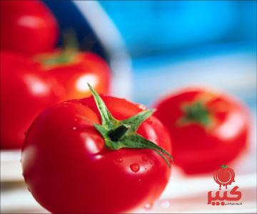 خرید رب گوجه خانگی ملس تازه با قیمت استثنایی