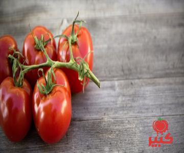 رب گوجه اسپتیک بریکس تازه گرگان + خرید