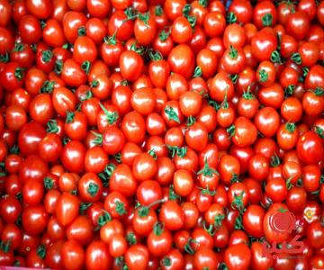 رب گوجه 4300 گرمی خالص تازه + بهترین قیمت خرید