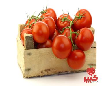 خرید و قیمت روز رب تبرک 800 و 400 مشهد
